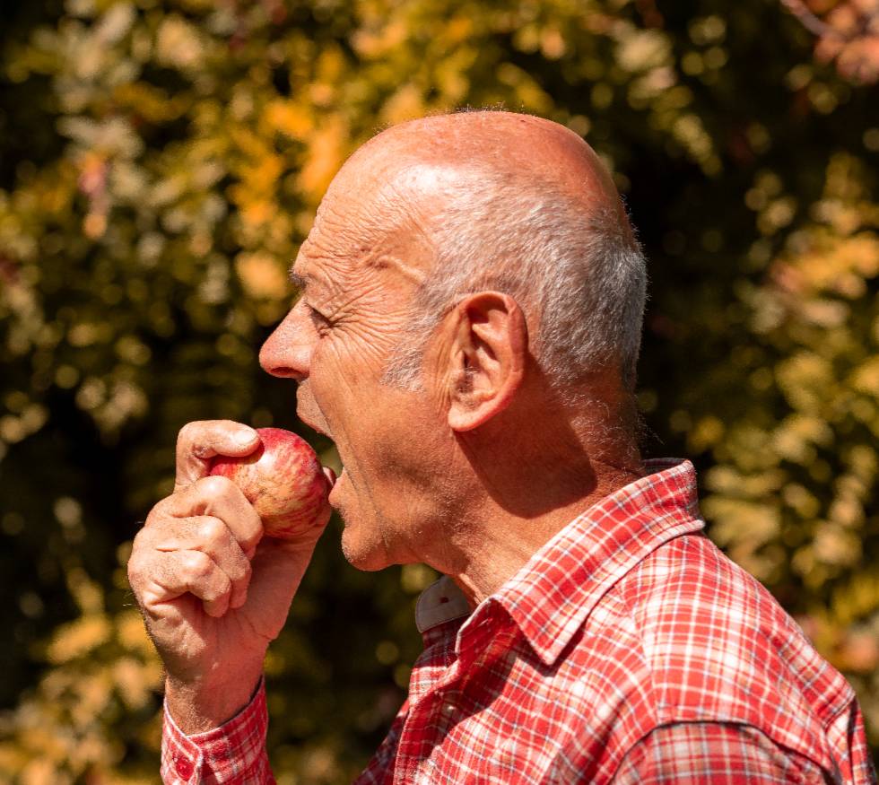 Cómo recuperar la función masticatoria después de perder dientes.